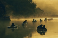 ワカサギ釣れますよ