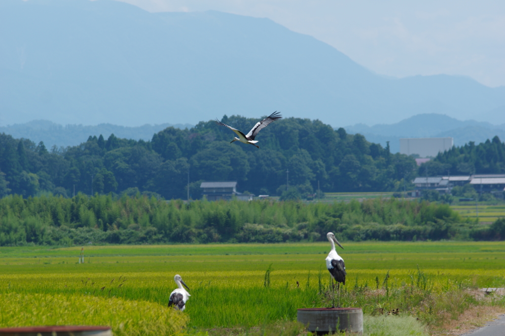 里山