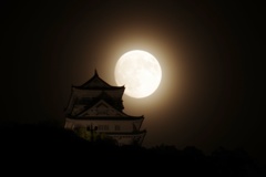 中秋の名月