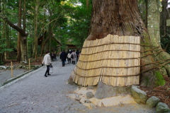 パワースポット