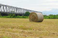 飼い葉ロールと東海道新幹線