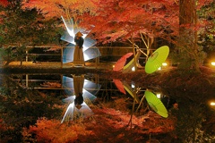 円月殺法～ライトペインティングアート