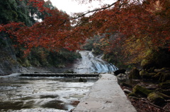 千葉県養老渓谷　粟又の滝02