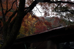 袋田の滝周辺の神社にてその２