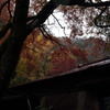 袋田の滝周辺の神社にてその２