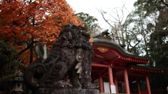香取神宮の狛犬　再訪01