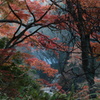 千葉県養老渓谷　粟又の滝03