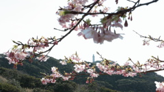 勝浦灯台