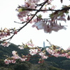 勝浦灯台
