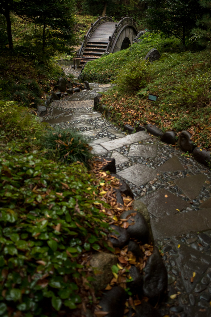 小石川後楽園_秋