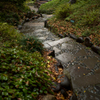 小石川後楽園_秋