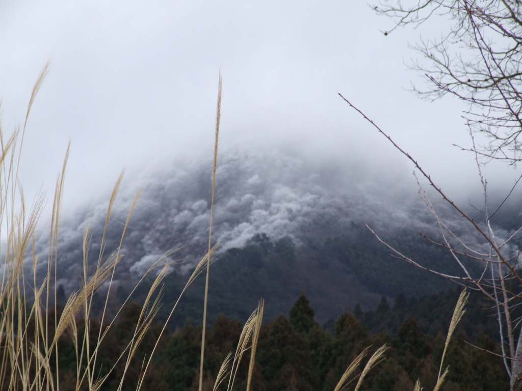 霧氷