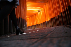 鳥居_02