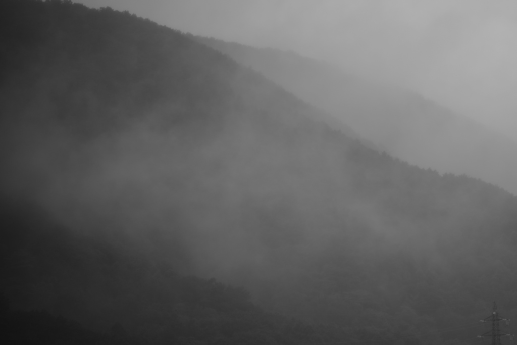 霧