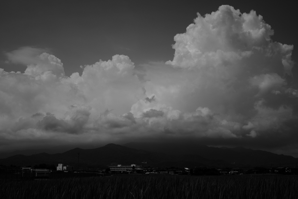 夏の雲