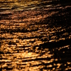 海