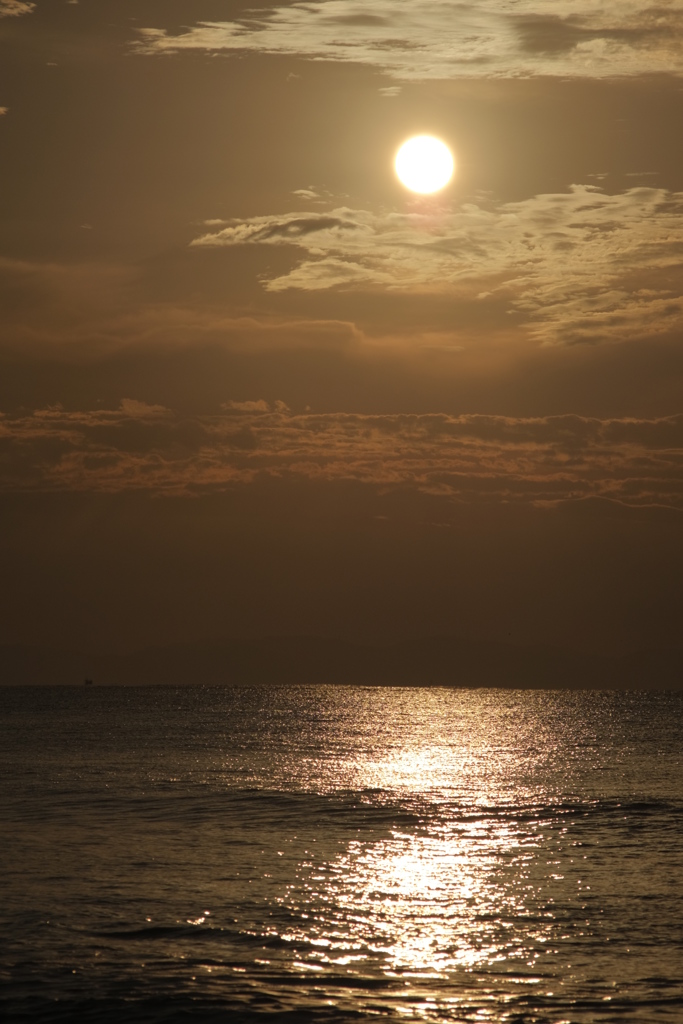 太陽と海