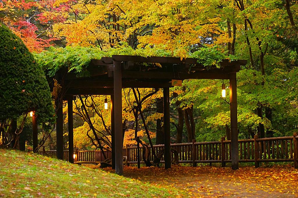 わび・さび・紅葉１
