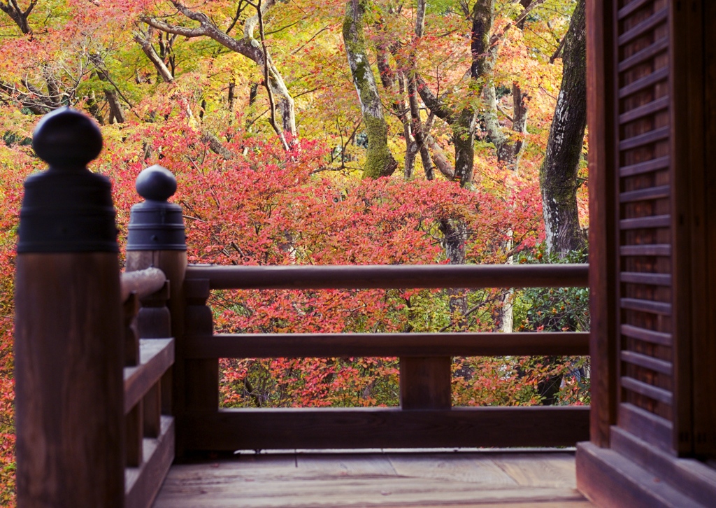 京都　宝筐院 ①
