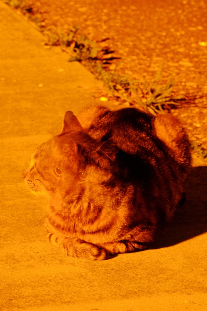 えっ？・・・・えっ！