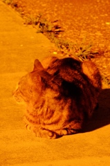 えっ？・・・・えっ！