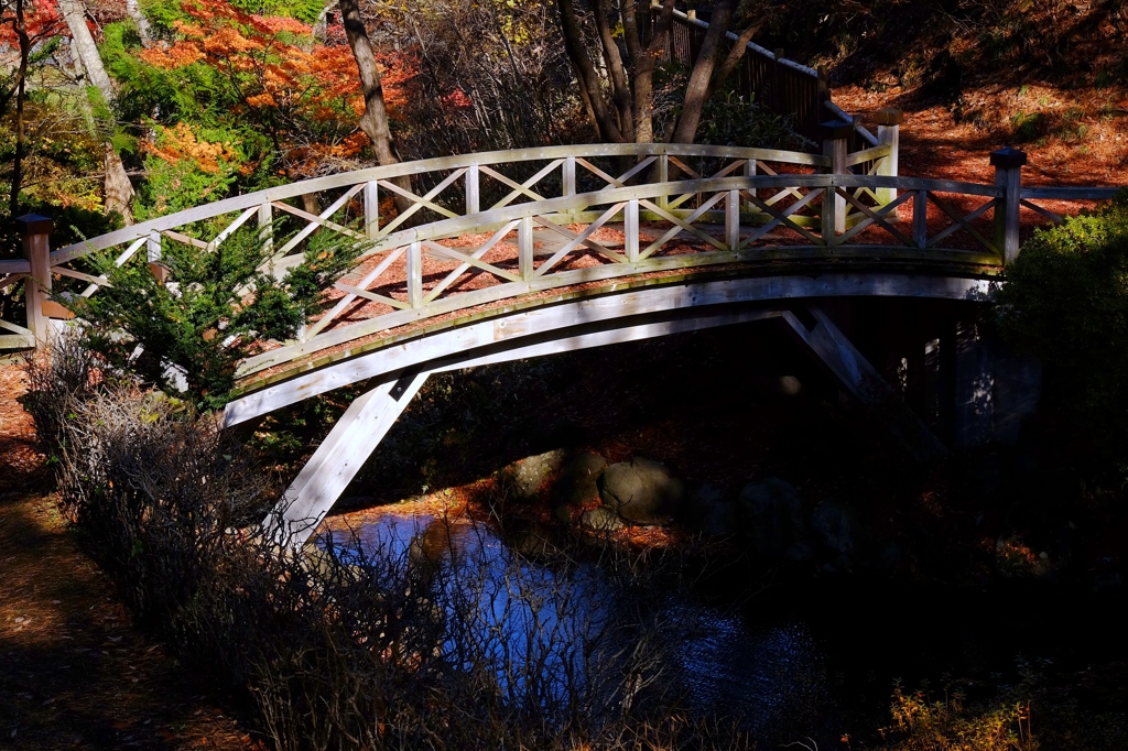 木橋