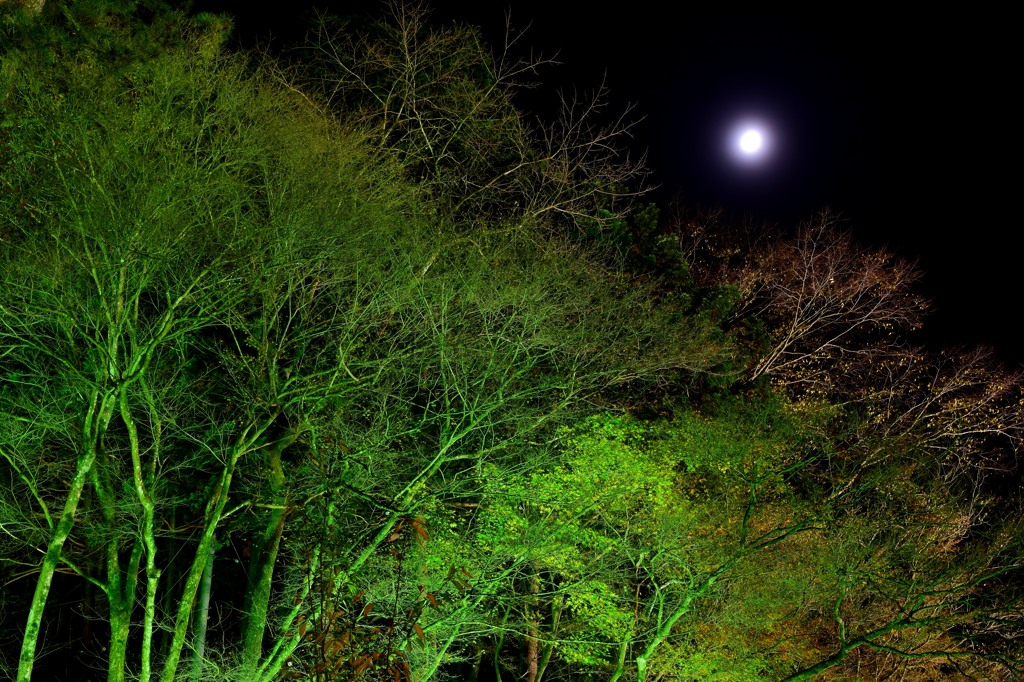 両界山　横蔵寺