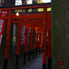 花園稲荷神社の鳥居