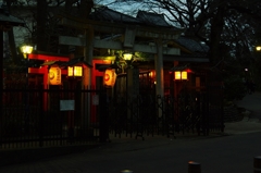 花園稲荷神社の夜