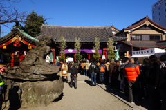浅草神社の正月