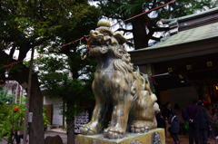 青山熊野神社の狛犬