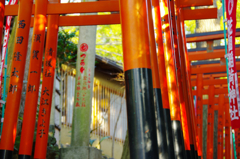 花園稲荷神社の鳥居