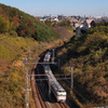 冬空のもと鎌倉へ急ぐ189系