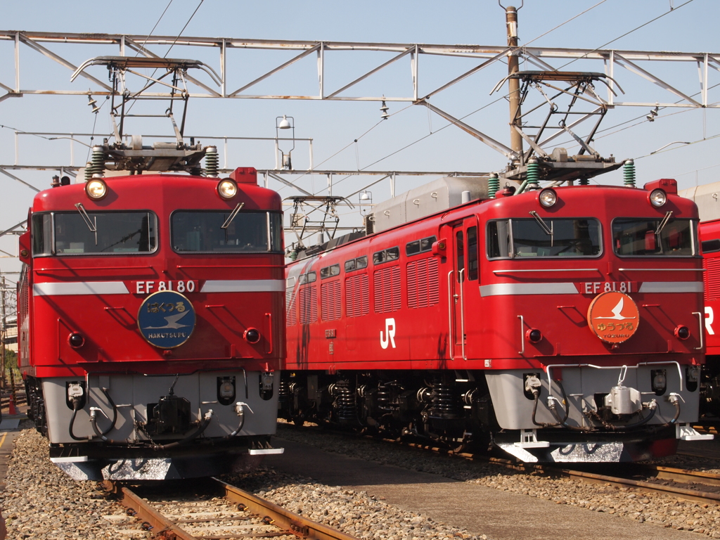 JR EAST　EF81　2羽の鶴