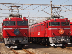 JR EAST　EF81　2羽の鶴