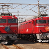 JR EAST　EF81　2羽の鶴