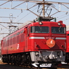 JR EAST　EF81-81