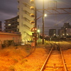 夜明け前