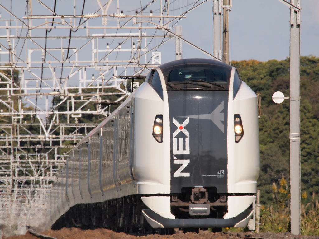 JR EAST　E259　N'EX