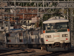 西日を受けて・・・