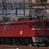 JR EAST　EF81　朝のお目覚め