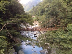 祖谷のかずら橋