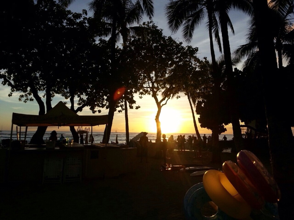 ハウツリーと夕日