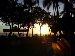 ハウツリーと夕日