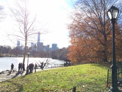 Central Park / Newyork