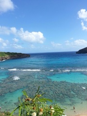 ハナウマ湾 /HAWAII