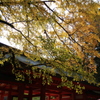 香取神宮