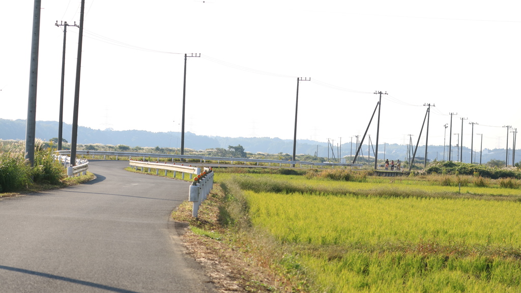 一本道