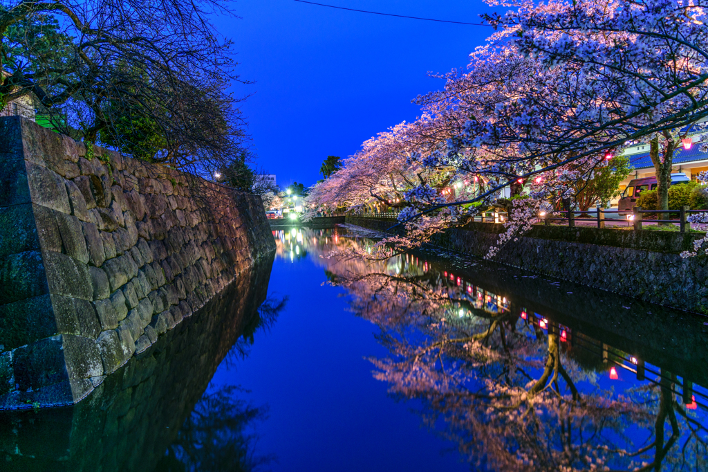 小田原城お堀