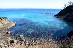 南伊豆の海